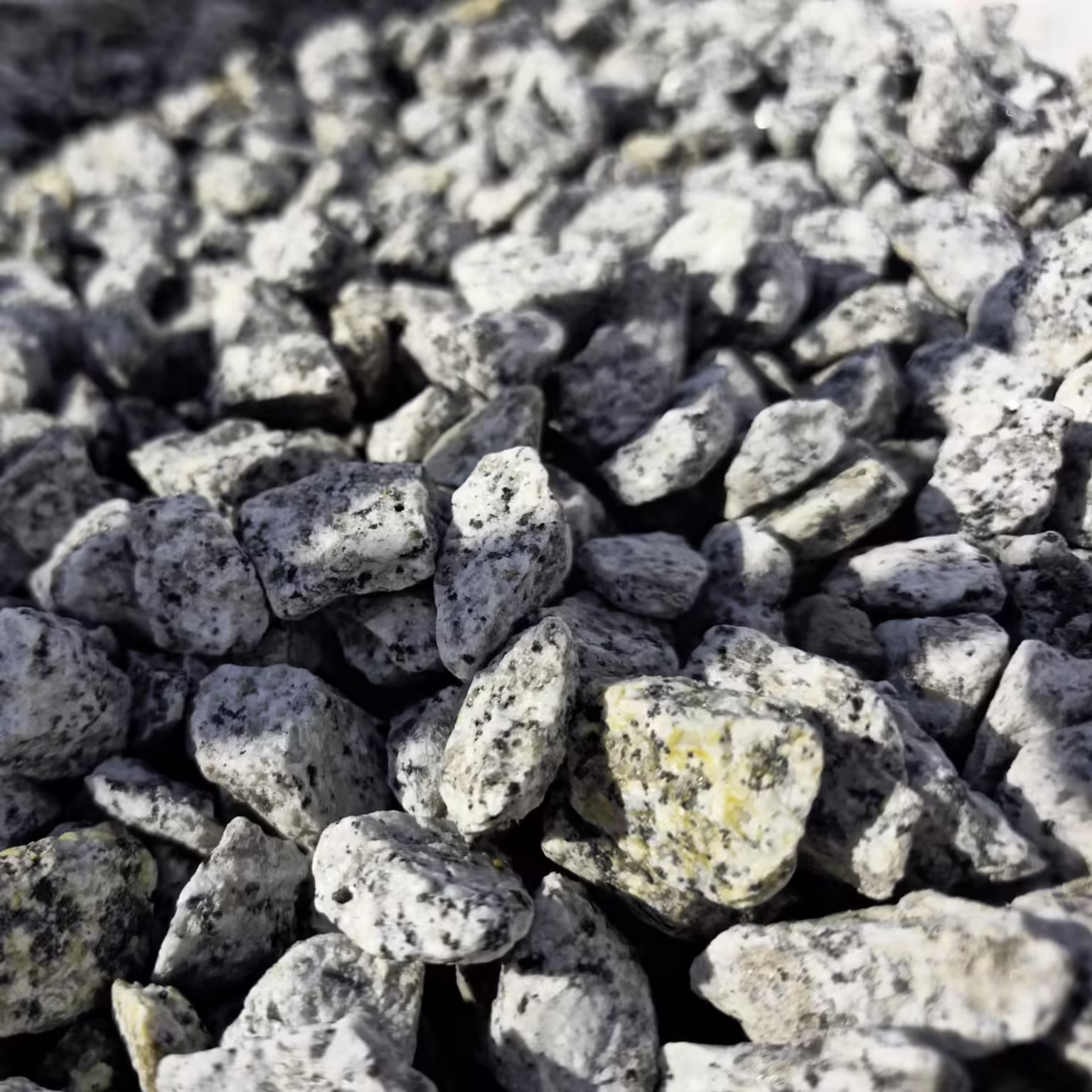 Granitsplitt Dalmatiner
